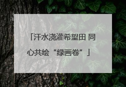汗水浇灌希望田 同心共绘“绿画卷”